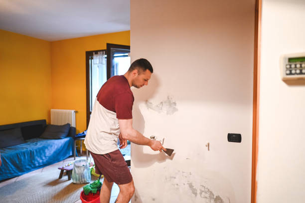 Best Fast Mold Removal  in Great River, NY