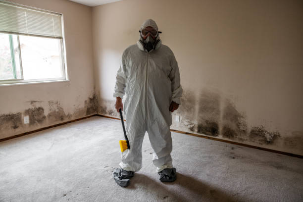 Best Commercial Mold Removal  in Great River, NY